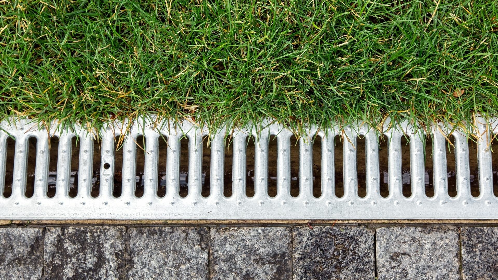 Read more about the article Garden Drainage Coventry: Best Techniques to Keep Your Garden Dry